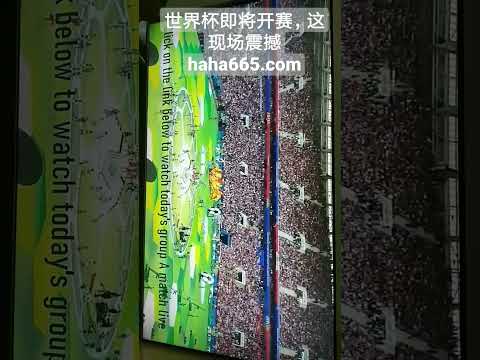 新春博物馆,盛景艳,蛇年文化之,开云代理官网,开云代理,开云体育,开云全站,开云合作